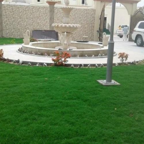 زراعة الحدائق