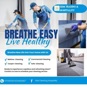 sofa cleaning