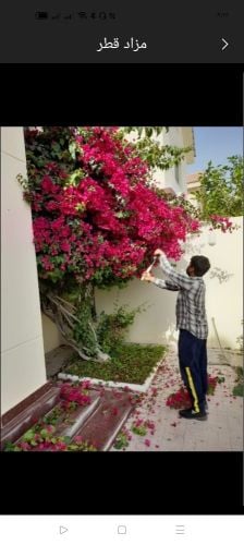 صيانه الحديقة وشبكة الرى
