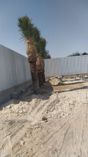 مهندس زراعي