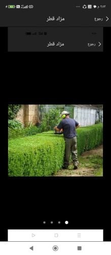 ترتيب وتنظيف الحدائق