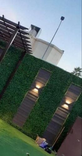 منسق