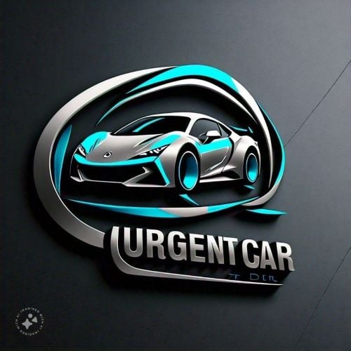 NEED FREELANCER (own car)