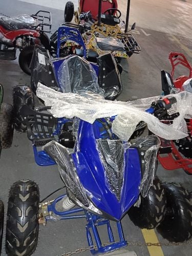 Budbuda patrol 110cc
