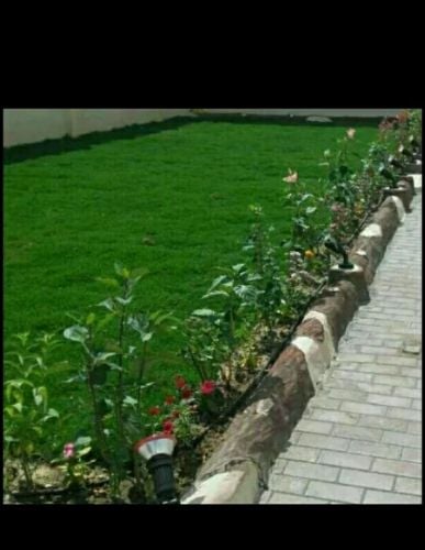 زراعة الحديقة