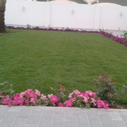زراعة وتنسيق الحدائق