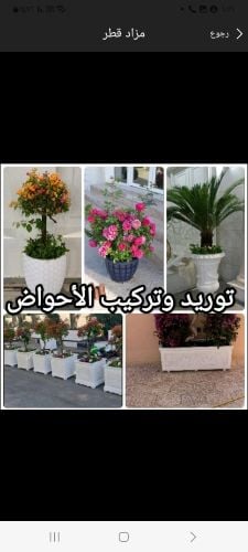 مزارع