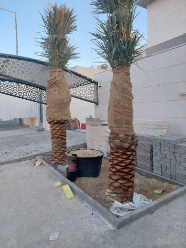 شركة زراعيه