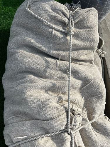 ابو محمد المري