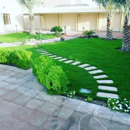 زراعه وديكور
