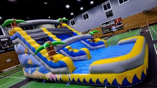 نطاطية نيمو الصفراء