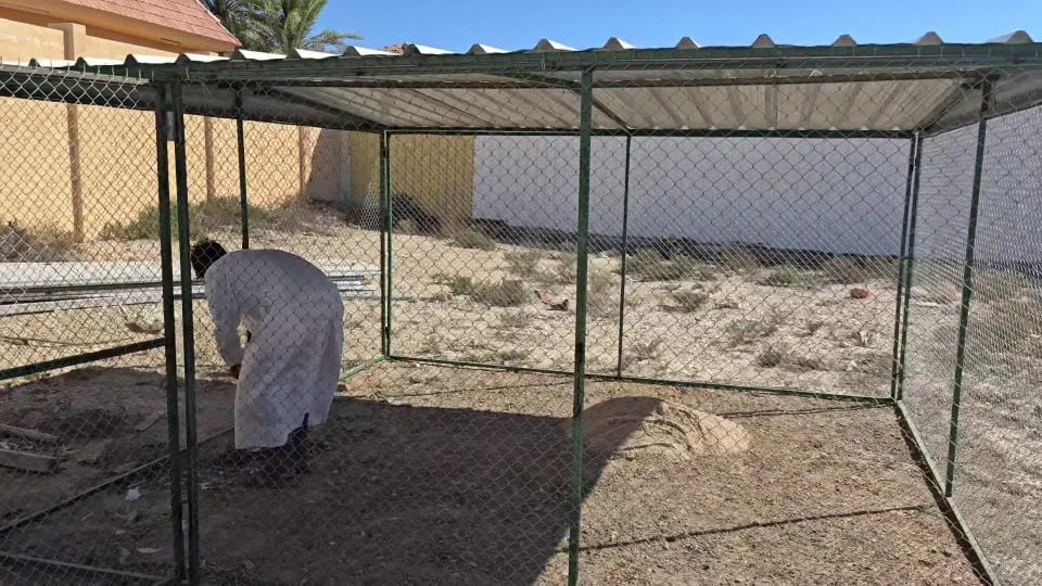 4/4 Size Pigeon cage