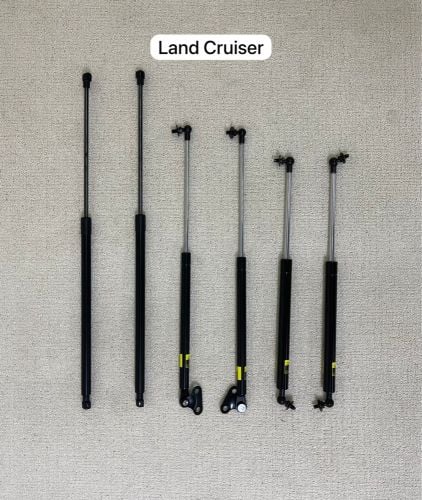 Bonet shocks 