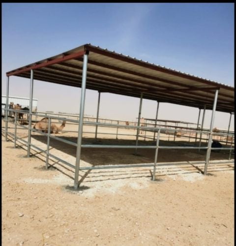 توبالا 5