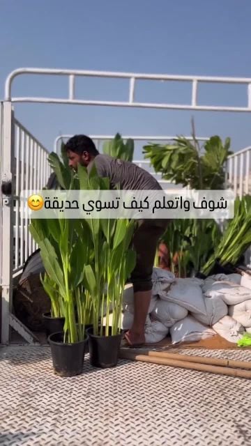تنسيق الحديقه الجميلة