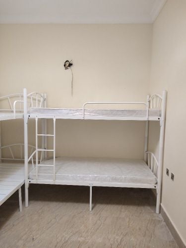 New White Bunk bed , Single bed