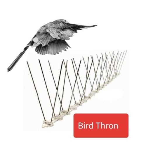 Bird spike Bird guard