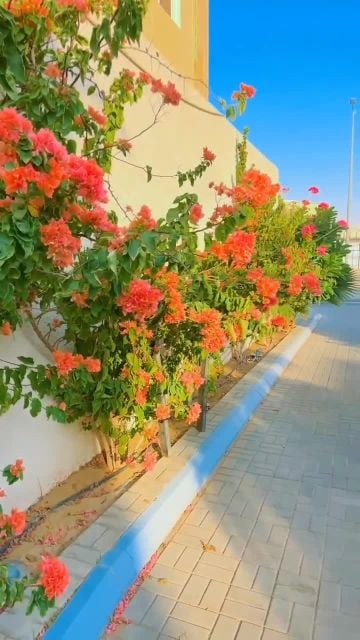 مزارع منسق حدائق