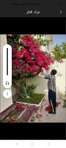 صيانه الحديقة وشبكة الرى