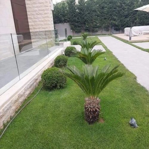 زراعة حدائق