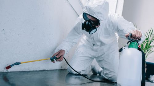 Pest control technician