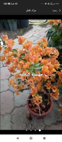 توريد وتركيب