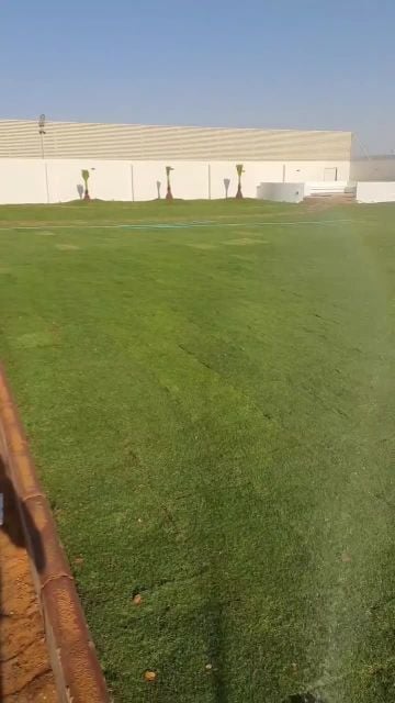 مزارع توريد وتركيب العشب الطبيعي