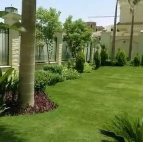 الإتقان والتميز في عمل الحديقه