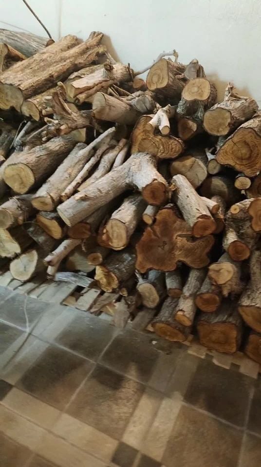 للبيع حطب السدر