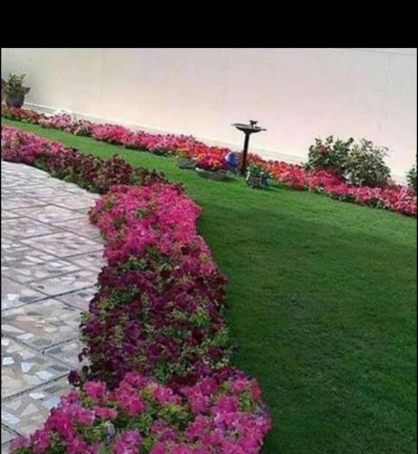 تنظيف حديقه المنزل