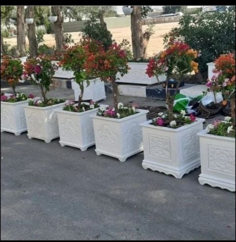 توريد و زراعة الأحواض