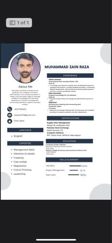 Muhammad Zain Raza