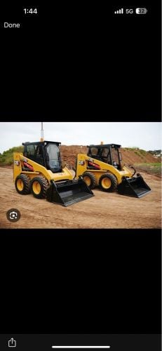 bobcats
