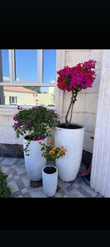 أحدث تشكيلة الاحواض الزراعيه