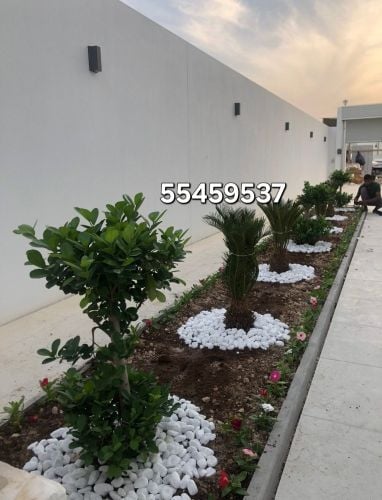 شركة زراعيه