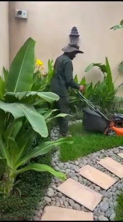 ترتيب وتنسيق الحدائق