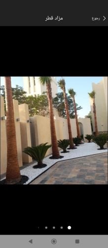 اعمال الزراعه والديكور