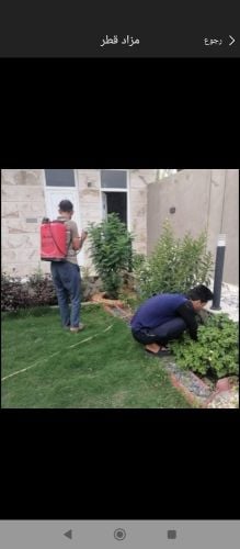 قص الاشجار والنخيل وتنظيف الحدائق