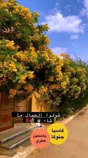 عنايه الحدائق 