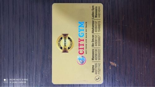 cheap lifetime elite city gym