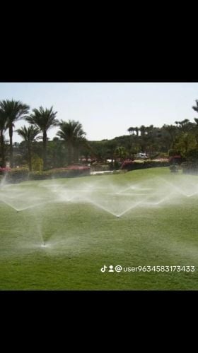شبكات الريا