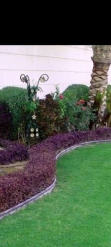 صيانه الحديقه وتربيتها