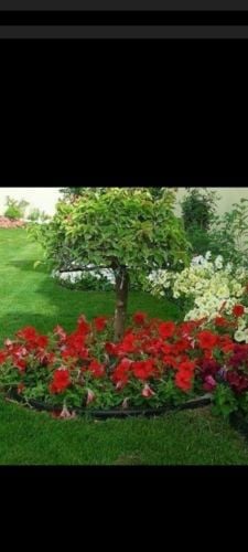 زراعه الفيلا والبيوت وشبكات الري