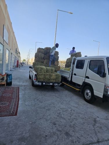 جت شعير ذرا