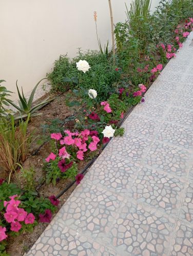 اعمال صيانه دوريه