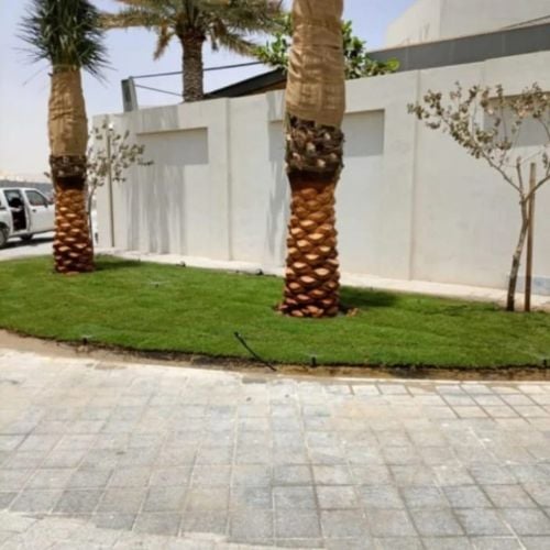 تكريب وتلقيح