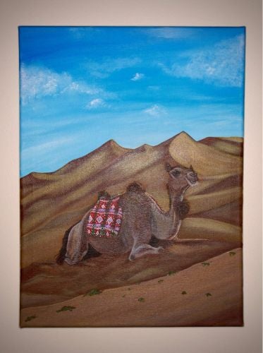 لوحات رسم عالية الجودة 