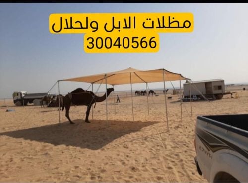 مظلات الربيع