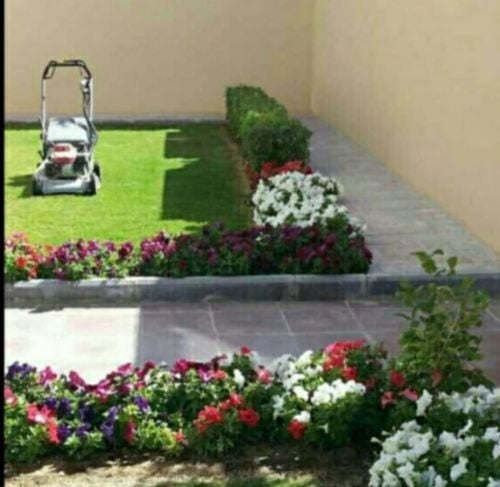 العنايه بالحدائق