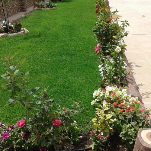 زراعة الحدائق